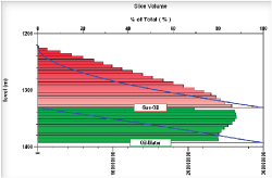 Slice volumetric charts show the distribution of volumes in depth.